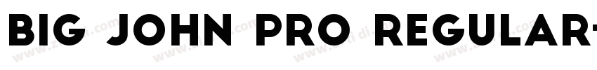 Big john pro regular字体转换